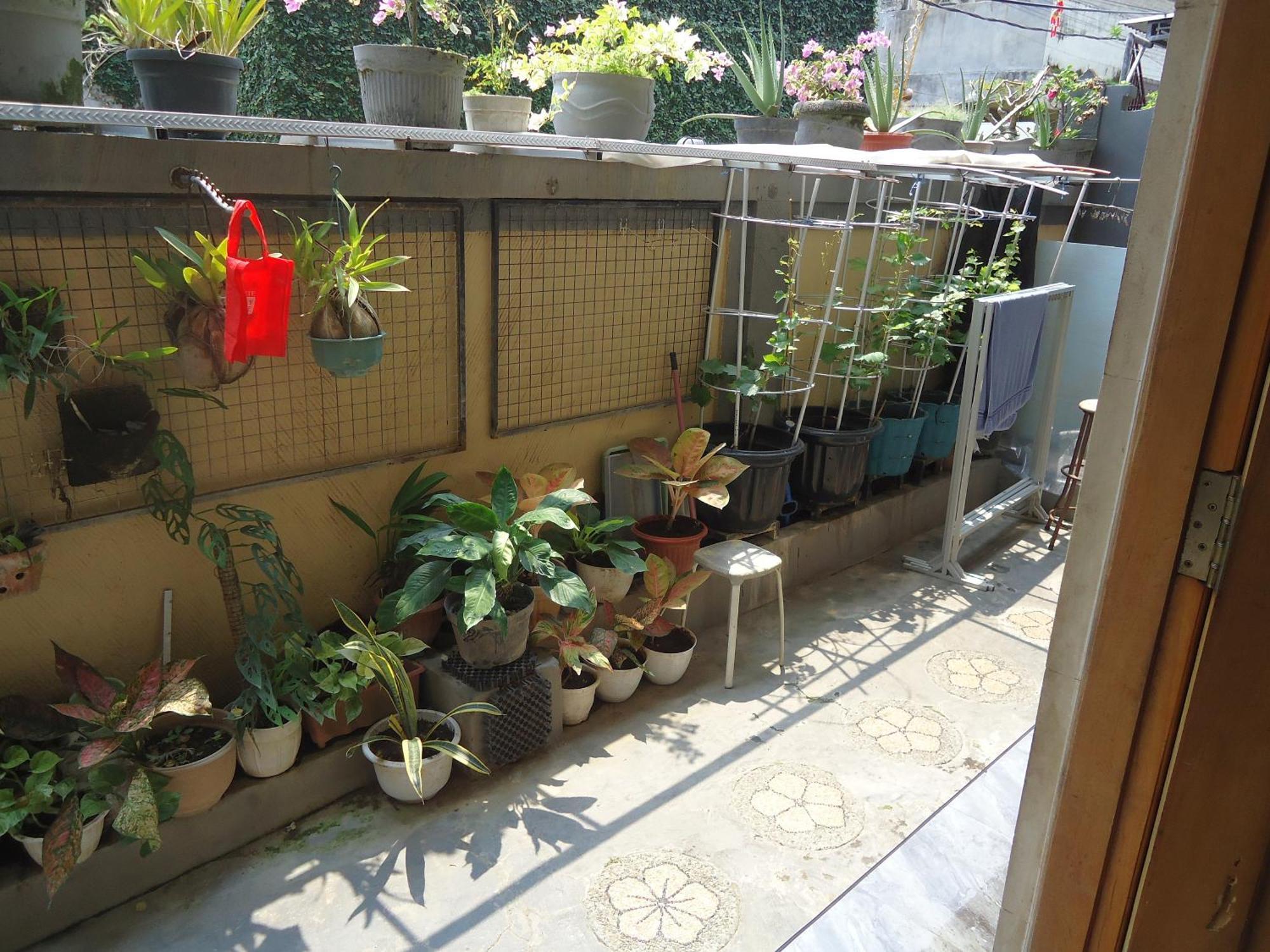 The Reinhold Guesthouse Bali Kerobokan Buitenkant foto